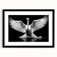 Elegant wall art showcasing a framed black mat design featuring swans in a serene landscape, perfect for home decor and enhancing interior aesthetics. Ideal for nature lovers and art enthusiasts.