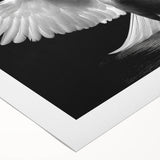 Swan-themed rolled canvas wall art design showcasing elegant white swans on a serene blue background, perfect for enhancing home decor with a touch of nature.