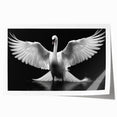 Elegant rolled print showcasing a serene swan design, perfect for home decor. This art piece features soft colors and intricate details, ideal for adding a touch of nature to any room. Packaged securely in a cardboard tube for safe delivery.
