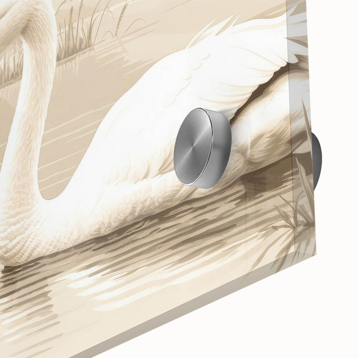 Close-up of intricate swan design wall art collection in acrylic glass, showcasing vibrant colors and detailed textures, ideal for modern home decor.