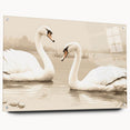 Swan design wall art collection displayed in an acrylic glass frame, showcasing vibrant colors and intricate details, perfect for enhancing modern decor.