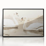 Framed wall art featuring a graceful swan design, showcasing intricate details and a sleek black acrylic frame, perfect for modern home decor.