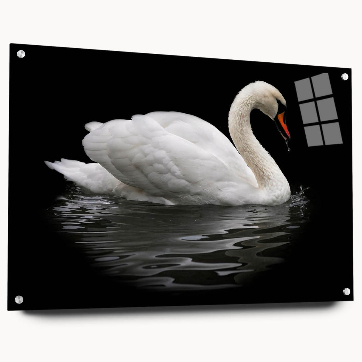 Swan wall art collection displayed in a modern acrylic glass frame, showcasing intricate bird designs with pins, perfect for contemporary decor enthusiasts.