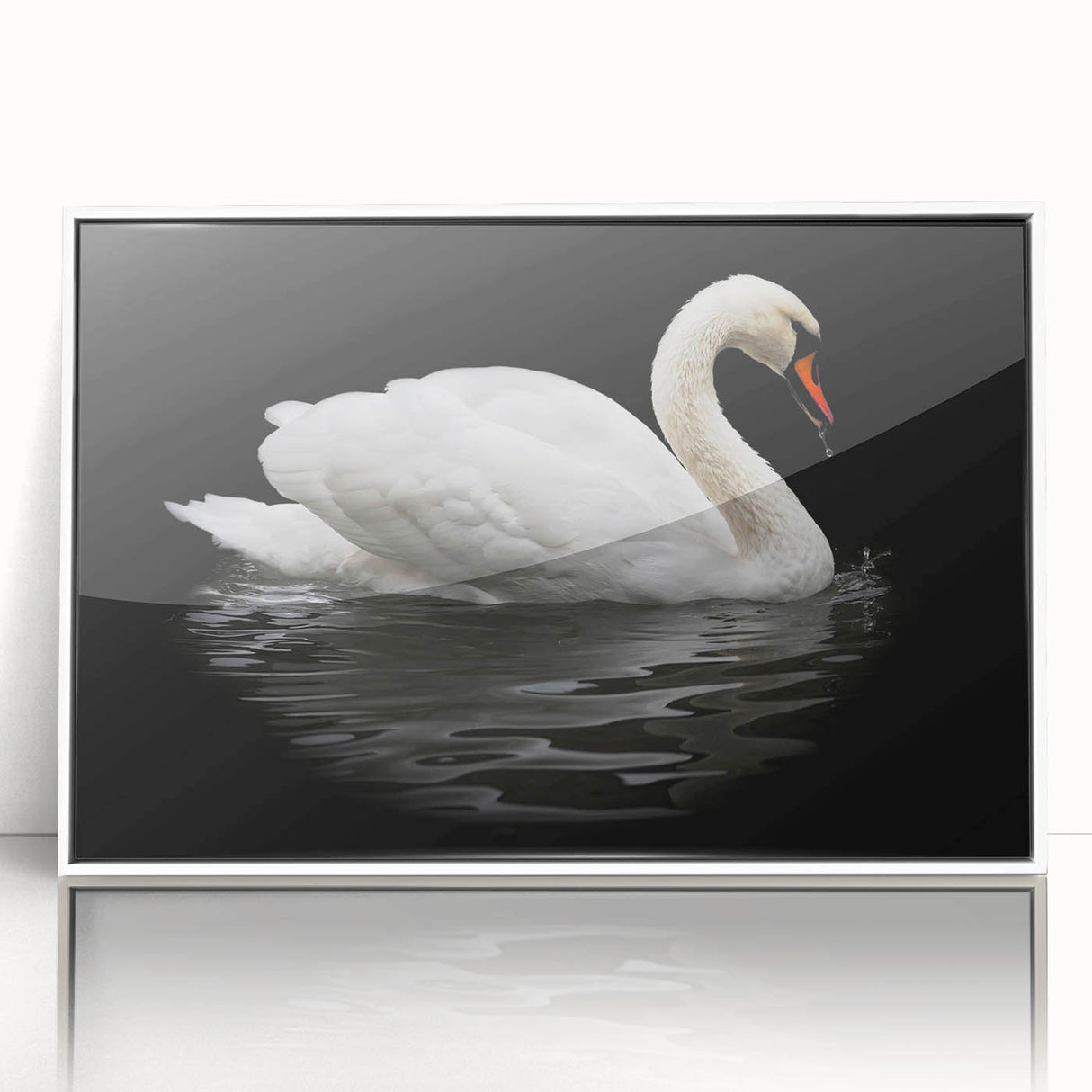 Framed wall art collection featuring elegant swan designs in a minimalist white frame, showcasing intricate details and soft colors, perfect for home decor.