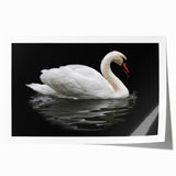 Elegant wall art print featuring a serene swan design in soft pastel colors, perfect for home decor. Ideal for adding a touch of tranquility to any room, this rolled print offers a unique artistic expression.