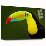 Vibrant tropical bird wall art collection displayed in acrylic glass, showcasing intricate designs and bright colors, ideal for modern home decor.