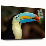 Colorful tropical birds wall art collection displayed in acrylic glass, showcasing vibrant designs and intricate details, perfect for enhancing home decor.