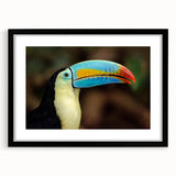Tropical bird wall art collection framed with a black mat and sleek front view, showcasing vibrant colors and intricate bird designs, perfect for home decor.