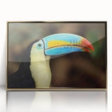 Framed wall art collection showcasing vibrant tropical birds in a colorful design, featuring a sleek gold acrylic front for a modern touch, perfect for home decor.