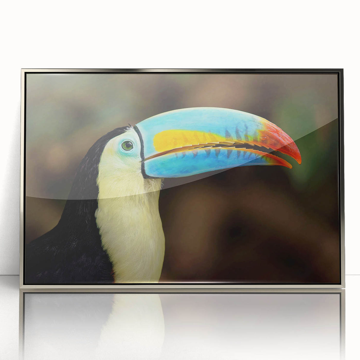 Framed acrylic wall art showcasing a vibrant tropical birds design in a silver frame, ideal for enhancing modern decor with a touch of nature.