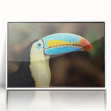 Framed wall art collection showcasing vibrant tropical birds in a colorful design, featuring a sleek white frame and acrylic front for a modern touch. Perfect for enhancing home decor with a lively nature theme.