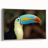 Framed wall art collection featuring vibrant tropical birds in a silver frame, showcasing intricate details and bright colors, ideal for home decor.