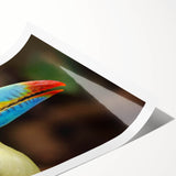 Tropical birds wall art collection featuring vibrant colors and intricate designs, rolled for easy shipping and display, perfect for enhancing home décor.