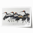 Tropical birds wall art print showcasing vibrant colors and intricate details, rolled and packaged in a protective tube for easy display. Perfect for nature-themed decor.