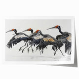 Tropical birds wall art print showcasing vibrant colors and intricate details, rolled and packaged in a protective tube for easy display. Perfect for nature-themed decor.