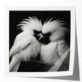 Vibrant tropical bird wall art collection showcasing colorful parakeets and exotic foliage, perfect for adding a lively touch to home decor. Ideal for nature enthusiasts.