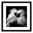 Tropical bird wall art design in a black frame, showcasing vibrant colors and intricate details, perfect for enhancing modern home decor and nature-inspired spaces.