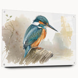 Tropical birds wall art collection displayed in acrylic glass, showcasing vibrant colors and intricate designs, perfect for enhancing modern decor.
