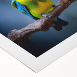 Vibrant rolled canvas featuring a tropical birds design, showcasing vivid colors and intricate details, ideal for enhancing home decor and wall art collections.