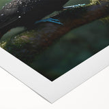 Tropical bird-themed rolled canvas wall art showcasing vibrant colors and intricate details, ideal for enhancing home decor with a tropical aesthetic. Perfect for nature lovers and art enthusiasts.