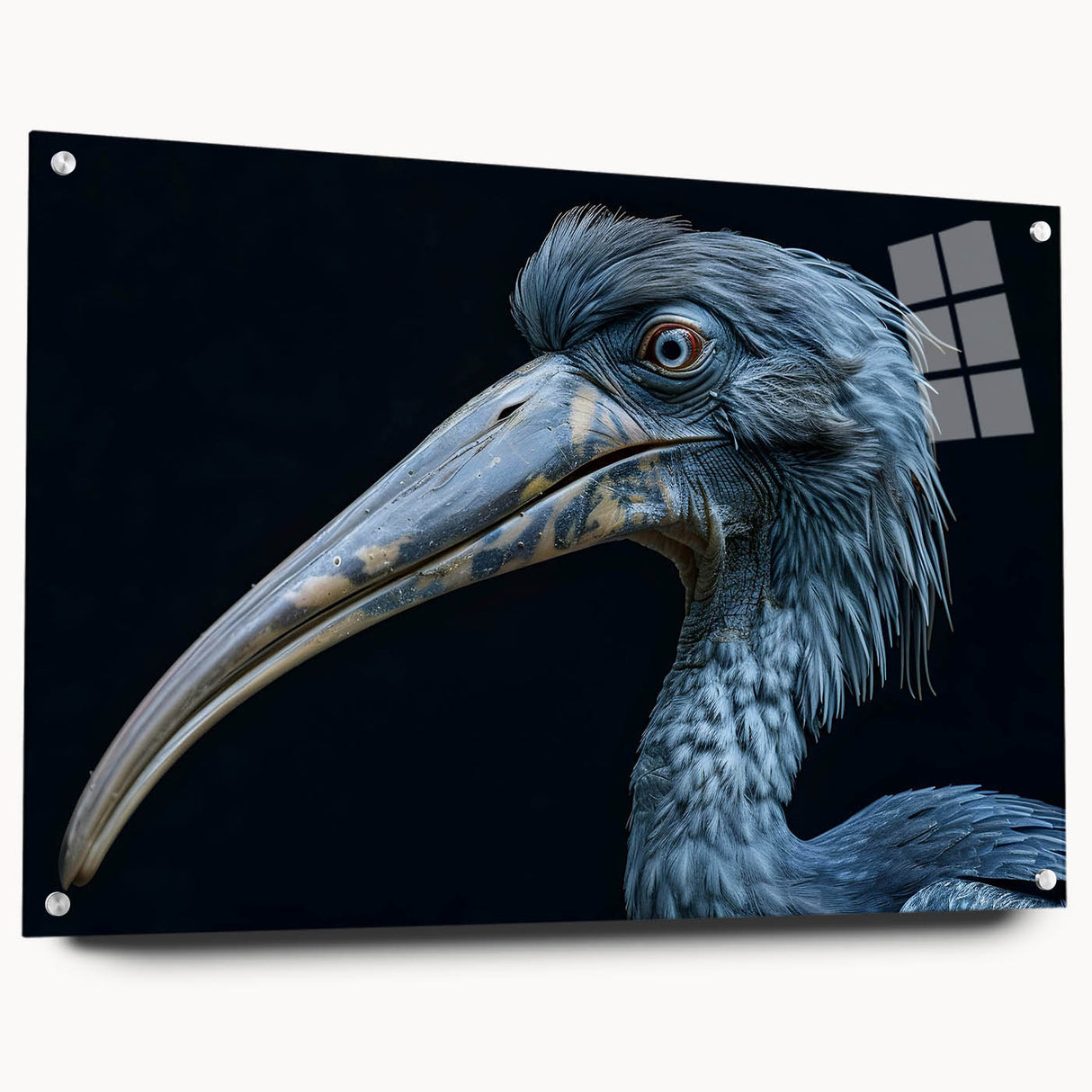 Tropical birds wall art collection displayed in a side view, showcasing vibrant colors and intricate designs printed on acrylic glass, perfect for home decor.