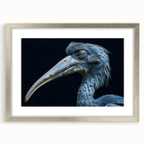 Framed tropical bird wall art collection featuring vibrant colors and intricate designs, set in a sleek silver frame with a white mat, perfect for home decor.