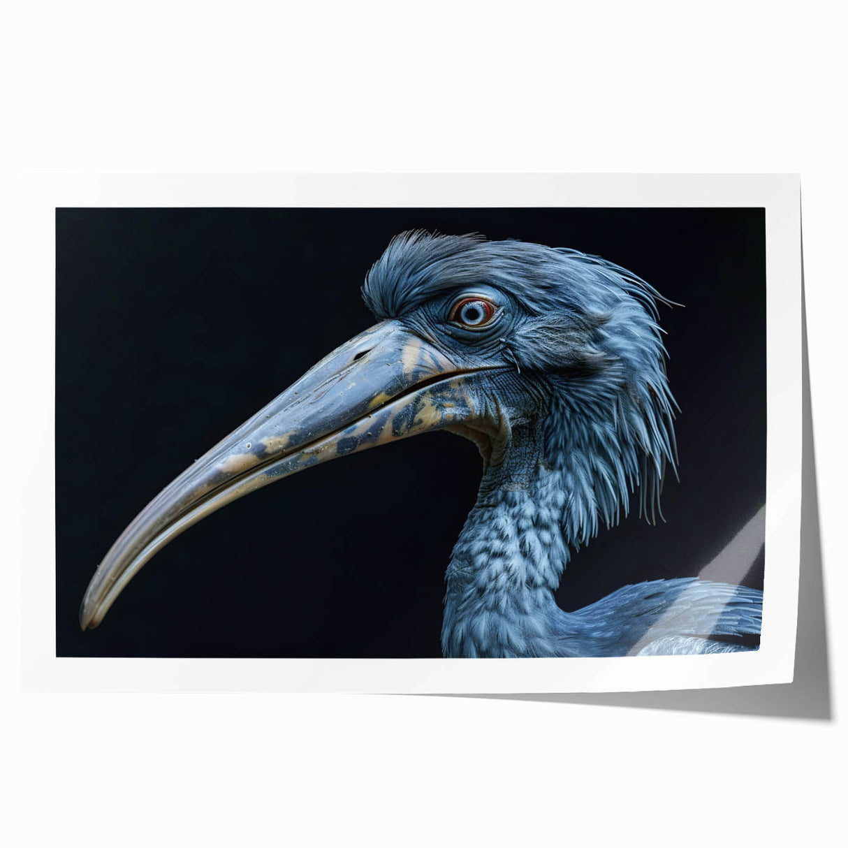 Tropical birds wall art print showcasing vibrant colors and intricate designs, rolled and packaged in a protective tube, perfect for home decor.
