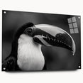 Tropical birds wall art collection displayed in a sleek acrylic frame, showcasing vibrant colors and intricate designs, perfect for enhancing home decor.