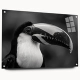 Tropical birds wall art collection displayed in a sleek acrylic frame, showcasing vibrant colors and intricate designs, perfect for enhancing home decor.