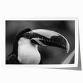Tropical wall art print showcasing vibrant, colorful birds perched on lush green foliage, perfect for adding a lively touch to any home decor. Ideal for nature lovers and art enthusiasts.