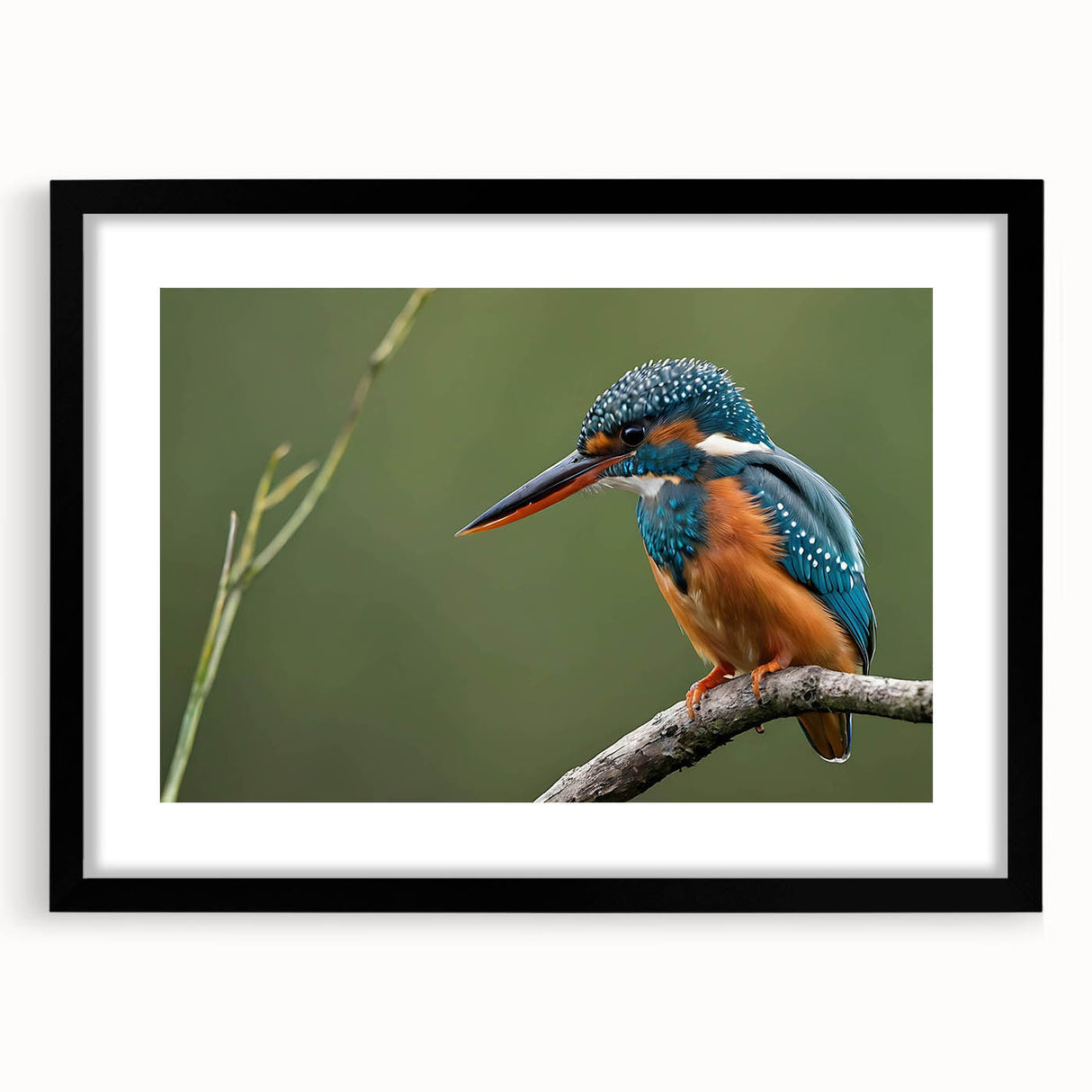 Tropical birds wall art collection framed in black, showcasing vibrant colors and intricate designs, ideal for adding a lively touch to any home decor.