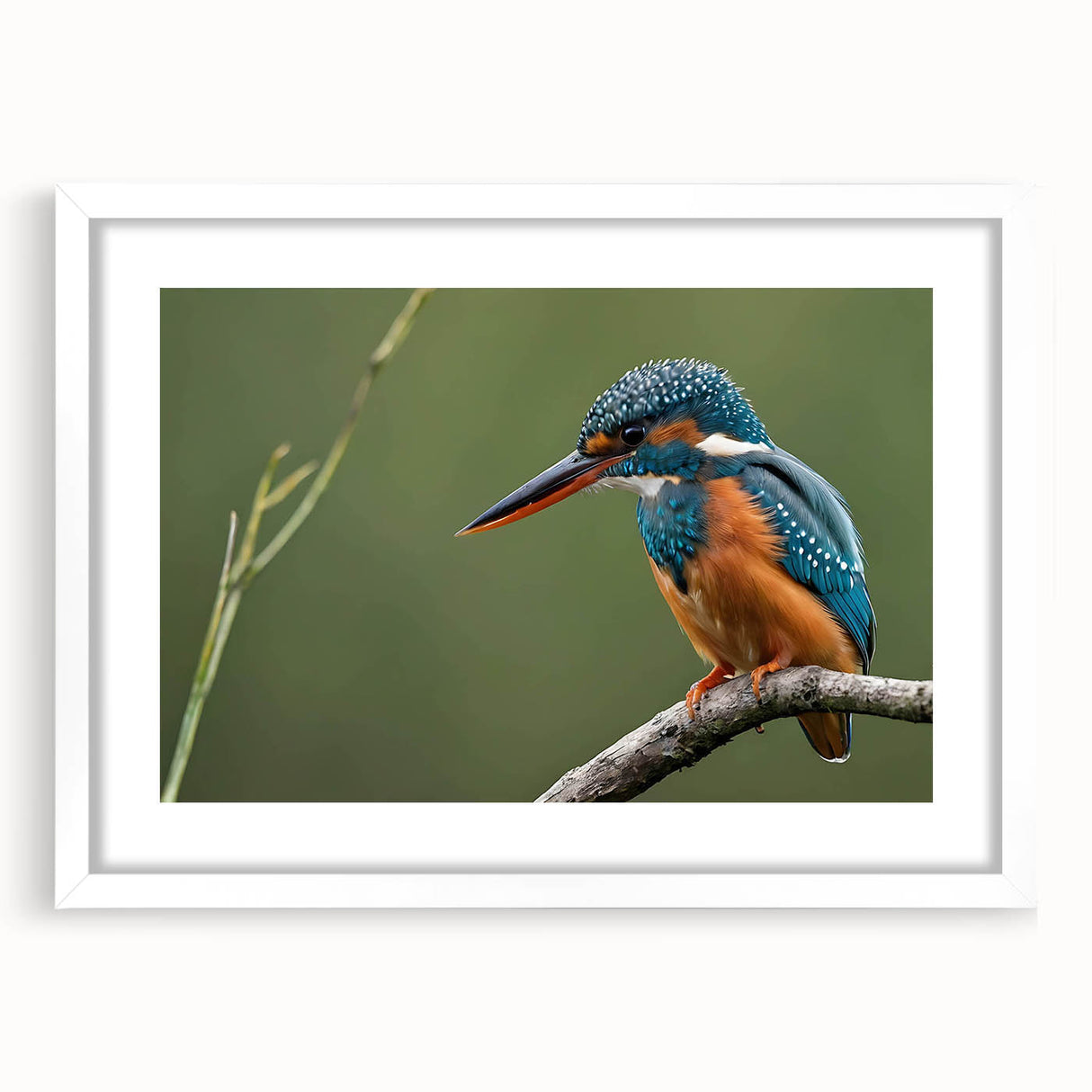 Tropical bird-themed wall art collection framed in white, showcasing vibrant colors and intricate designs, perfect for adding a lively touch to home decor.