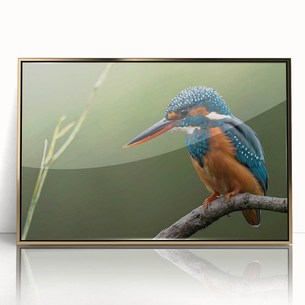 Framed wall art showcasing a vibrant tropical bird design with gold accents, perfect for adding a touch of nature-inspired elegance to any room.