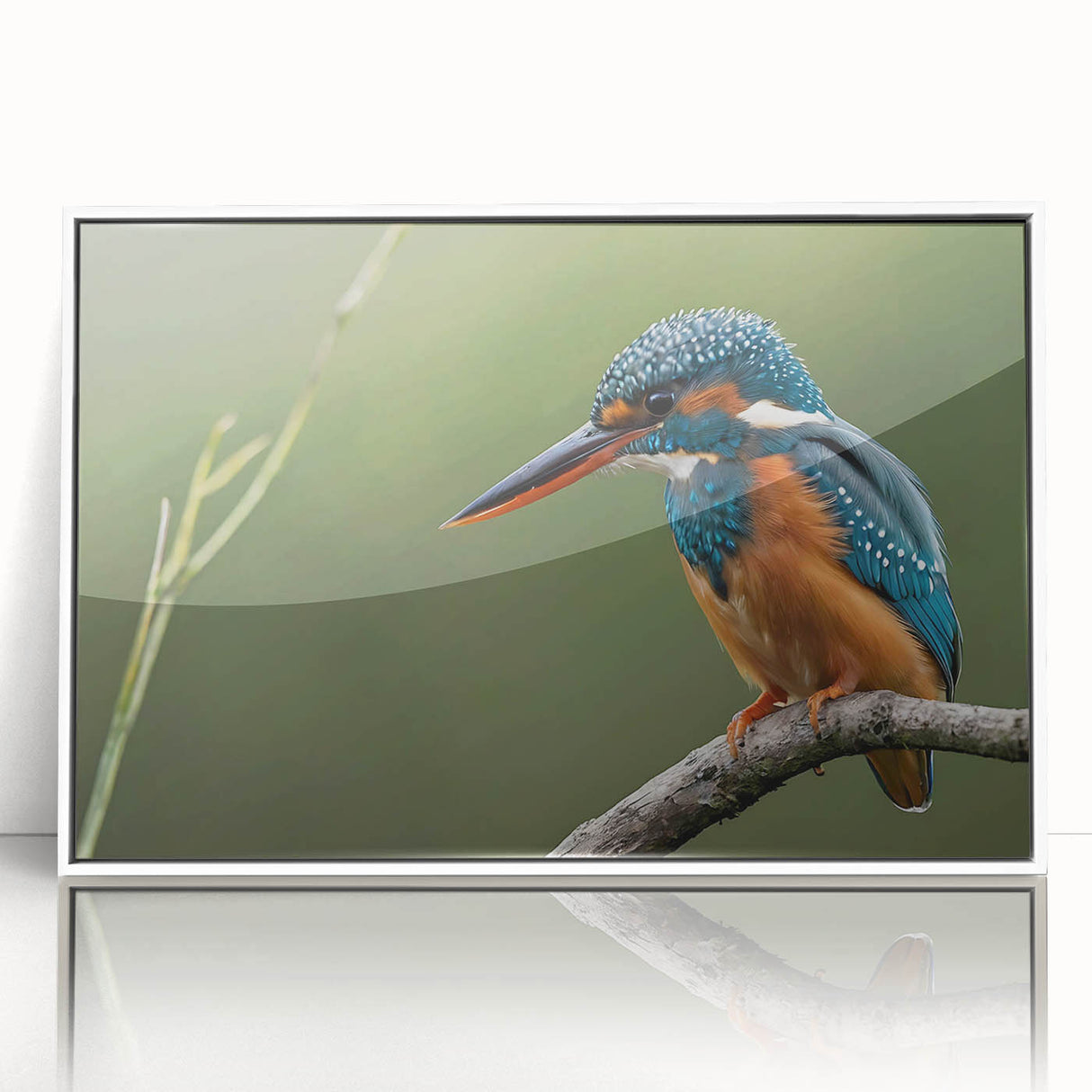 Framed wall art showcasing a vibrant tropical bird design with lush green foliage, perfect for adding a splash of color to any modern decor space. The acrylic frame enhances its vividness and adds a sleek touch.