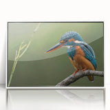 Framed wall art showcasing a vibrant tropical bird design with lush green foliage, perfect for adding a splash of color to any modern decor space. The acrylic frame enhances its vividness and adds a sleek touch.
