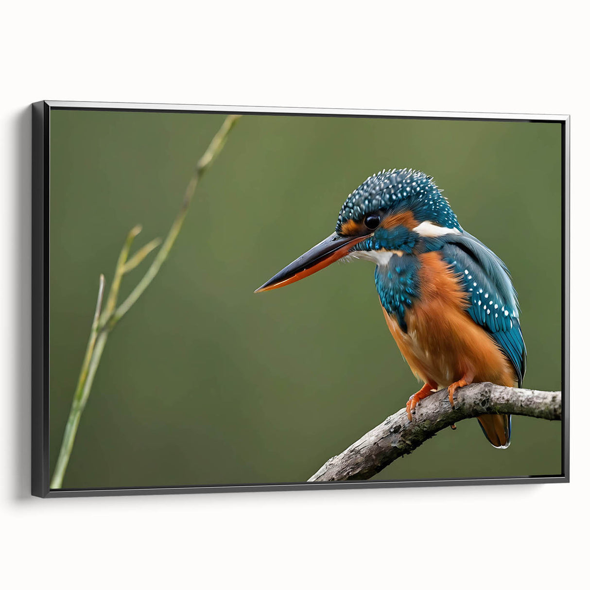 Framed canvas wall art showcasing a vibrant tropical bird design, set against a black background, enhancing any modern decor with its colorful details and artistic flair.