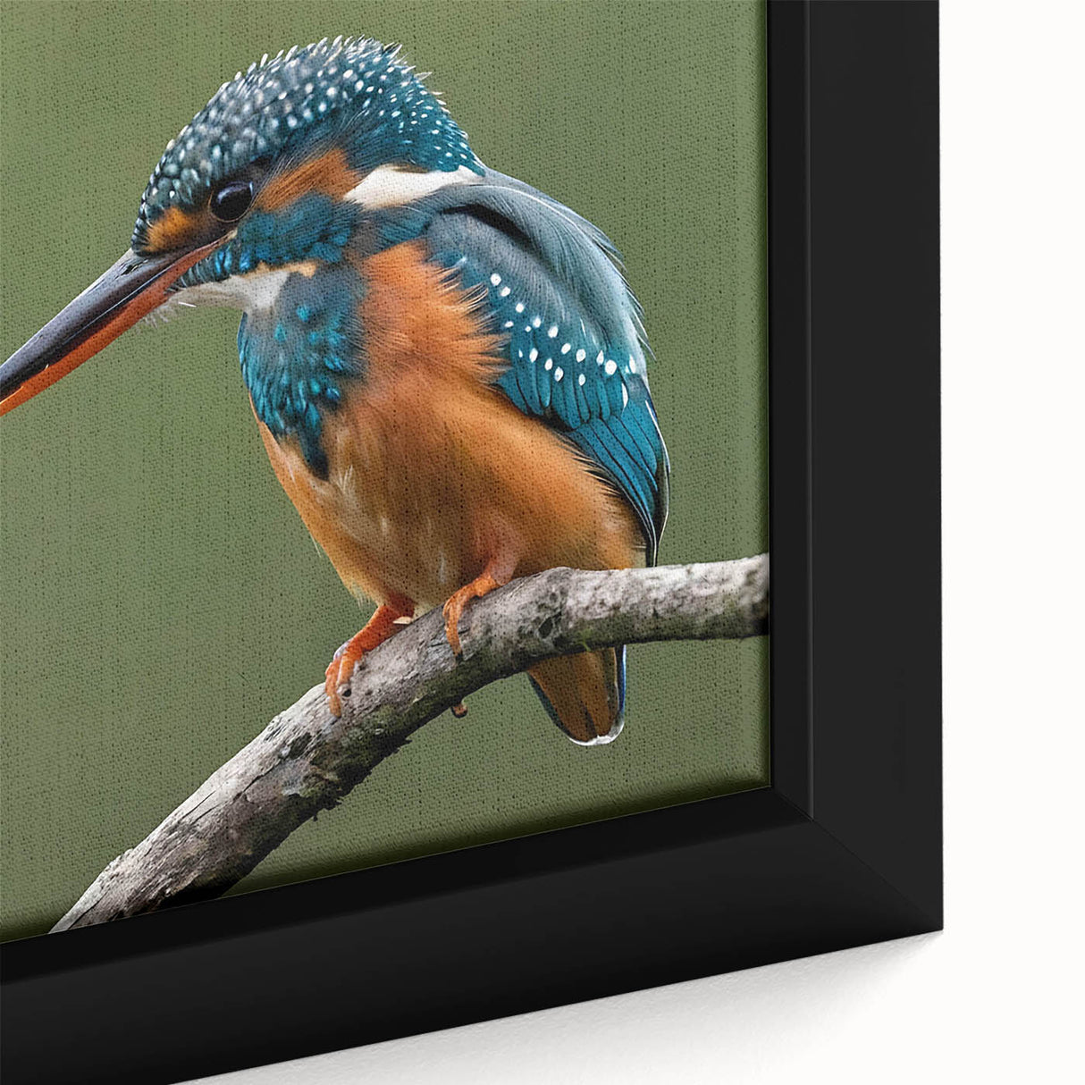 Colorful tropical birds wall art collection displayed in a close-up framed canvas. The vivid hues and intricate details highlight a serene natural setting, perfect for home decor.