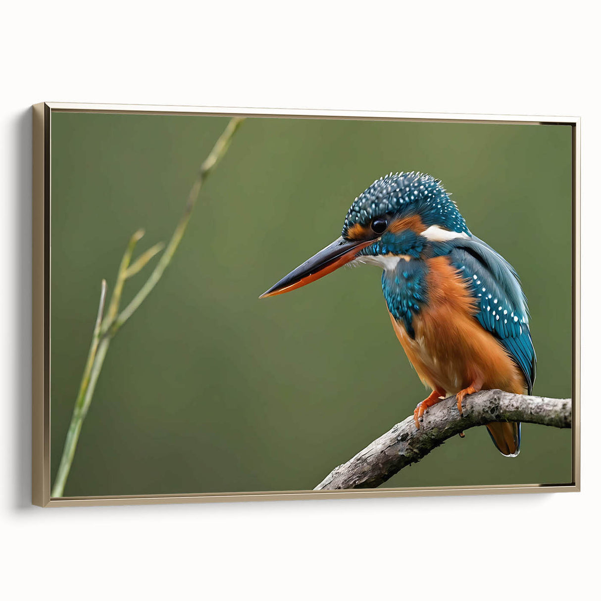 Tropical birds wall art collection featuring vibrant colors and intricate designs on a framed canvas, showcasing gold accents against a lush backdrop. Ideal for enhancing home decor with a touch of nature-inspired elegance.