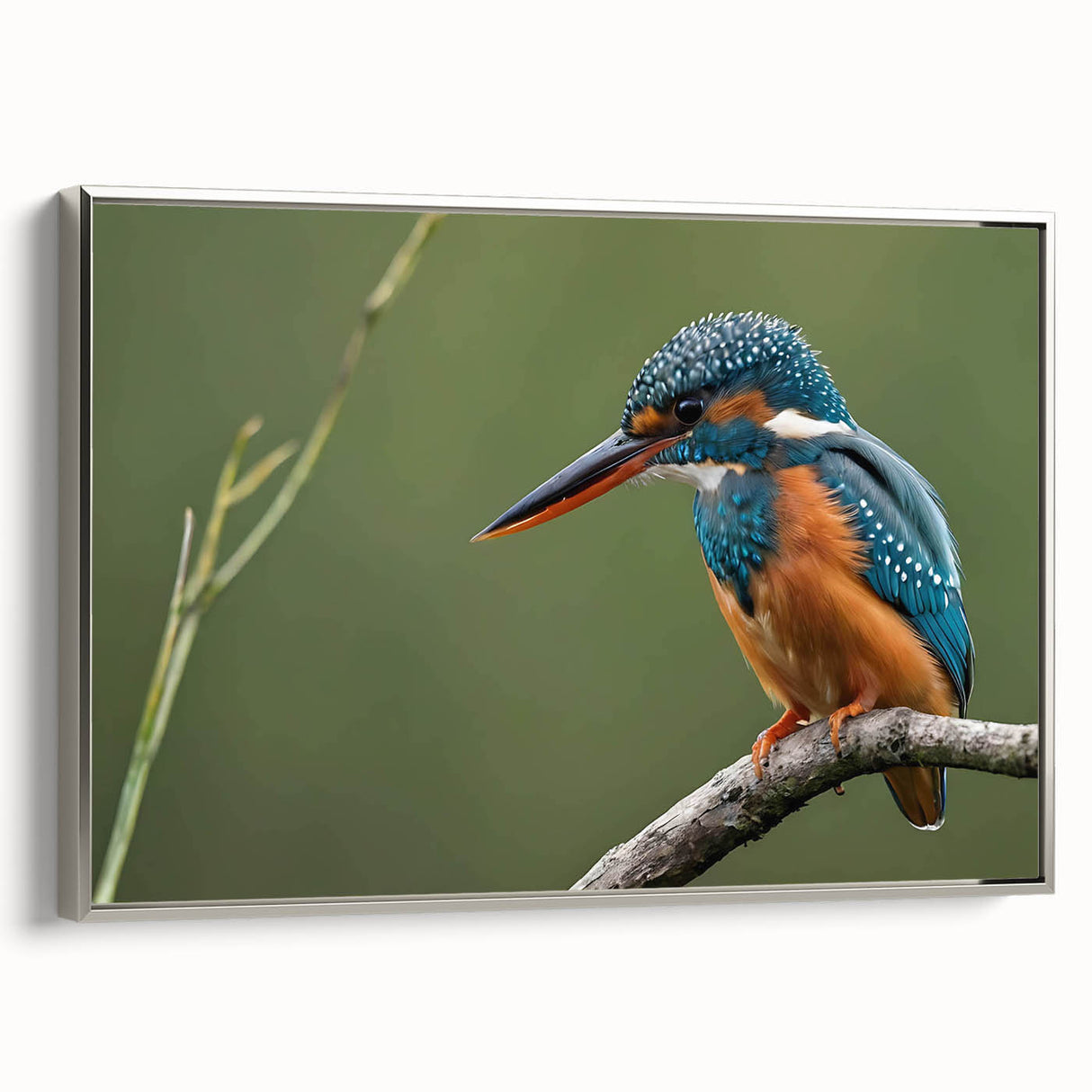 Framed canvas wall art of tropical birds in vibrant colors, showcasing detailed illustrations with a sleek silver frame, perfect for enhancing any living space.