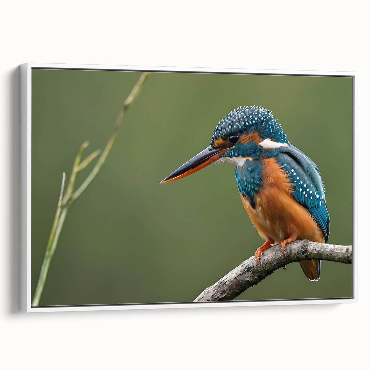 Framed wall art featuring a vibrant tropical bird design on a textured canvas, showcasing vivid colors and intricate details, perfect for enhancing home decor.