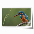 Tropical bird wall art print showcasing vibrant colors and intricate details of exotic birds perched among lush foliage, perfect for home decor or art collections.