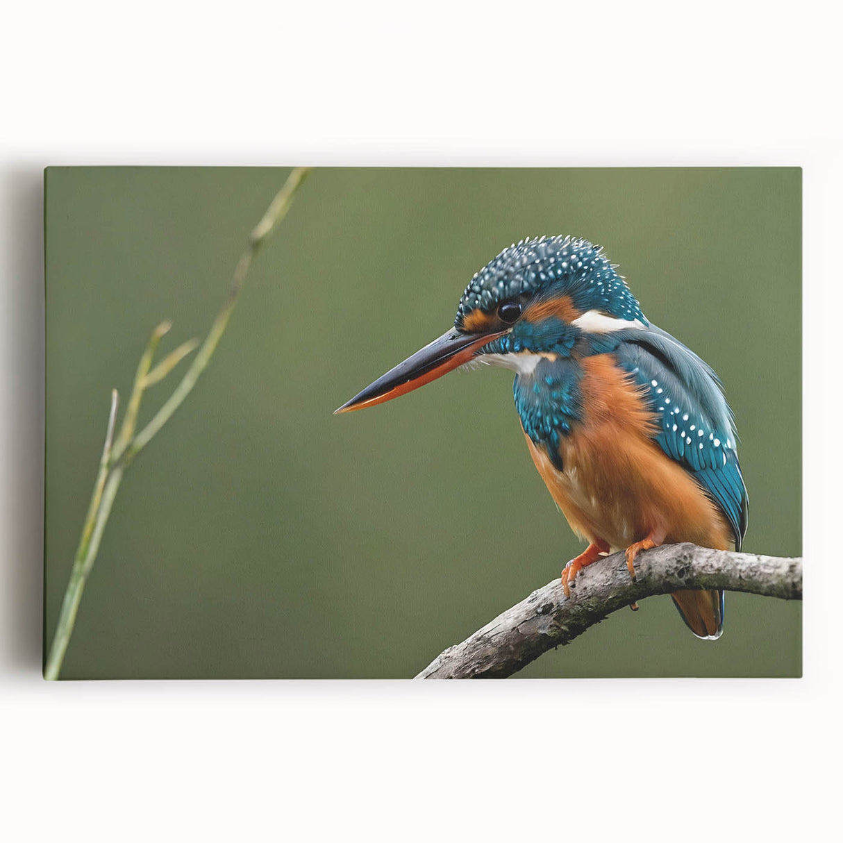 Tropical birds wall art design on stretched canvas, showcasing vibrant colors and intricate details, perfect for adding a lively touch to any space.