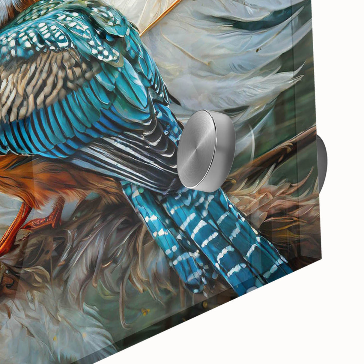 Close-up of a vibrant tropical bird design on acrylic glass, showcasing intricate details and bright colors, ideal for enhancing modern home decor.