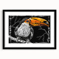 Tropical birds wall art collection framed in black, showcasing vibrant bird designs with a mat for an elegant finish, perfect for home decor.