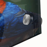 Close-up of a vibrant tropical bird wall art design featuring intricate details and bright colors, printed on acrylic glass for a modern artistic display. Perfect for nature-themed home decor.