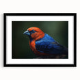 Tropical bird-themed wall art collection framed in black with a mat, showcasing vibrant colors and intricate designs, perfect for enhancing home decor.