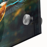 Vibrant tropical bird wall art collection displayed on acrylic glass, showcasing detailed close-up designs with vivid colors and intricate patterns, perfect for home decor.