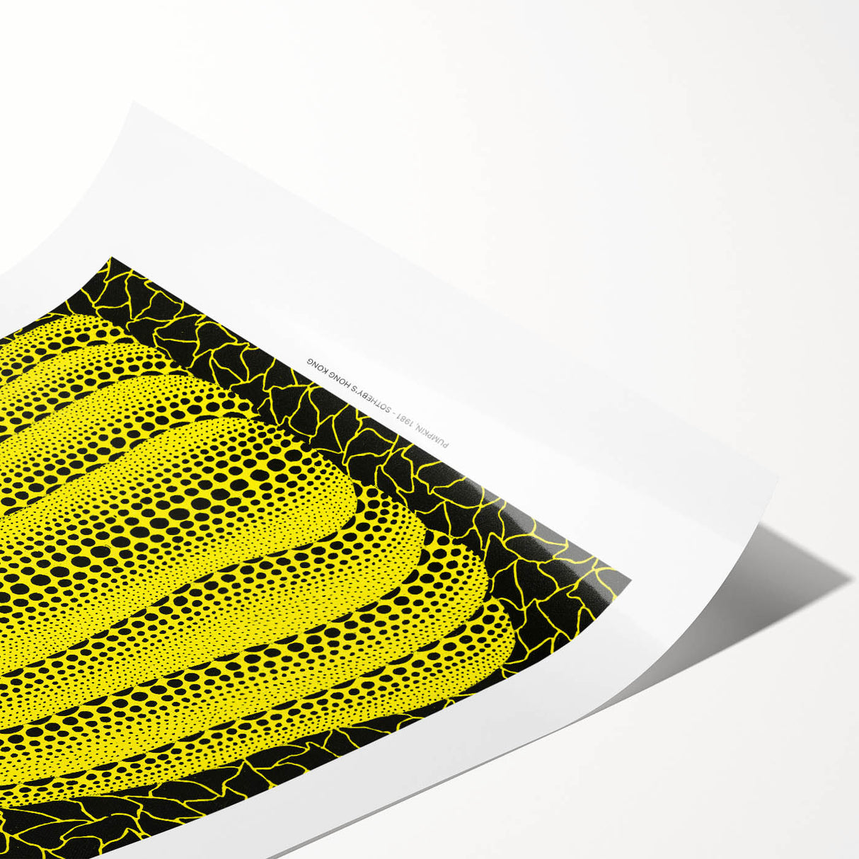 Extra large wall art featuring line art flowers in black on a white background, rolled print format.