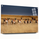 Acrylic print of a Namibian landscape in earthy tones, ideal for dining room or bedroom decor.