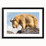 Extra large framed wall art of an abstract colorful scene with textured brush strokes, ideal for living room decor.